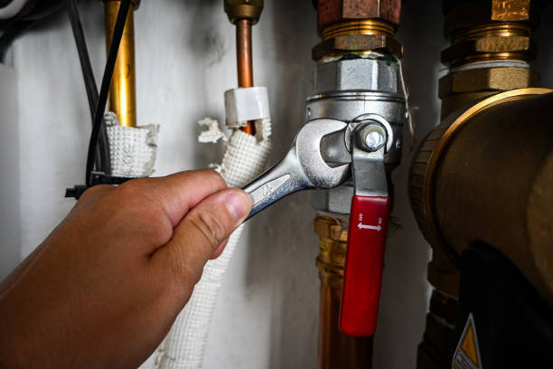 Best Local Plumber Services  in Elkridge, MD
